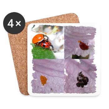 Two ladybirds in family planning - Coasters (set of 4) - white - Front