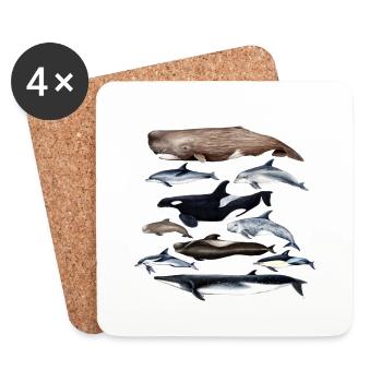Cetaceans Whales and dolphins- Cetaceans - Cétacés - Coasters (set of 4) - white - Front