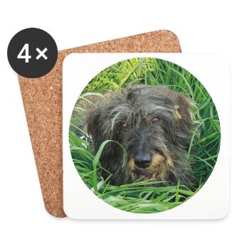 Cute wire-haired dachshund lifelike - dachshund - Coasters (set of 4) - white - Front