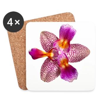 Phalaenopsis Joie Conte de fées pélorique Fleur d’orchidée - Dessous de verre (lot de 4) - blanc - Devant