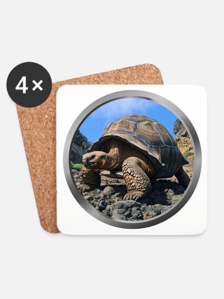 Tortoise Animal - Coasters (set of 4) - white