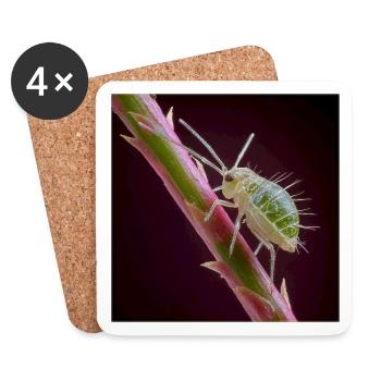 Green Aphid Macro – Exotic Insect Design - Coasters (set of 4) - white - Front