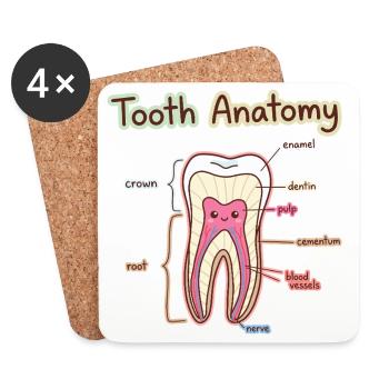 Dentiste assistant dentaire en anatomie dentaire - Dessous de verre (lot de 4) - blanc - Devant