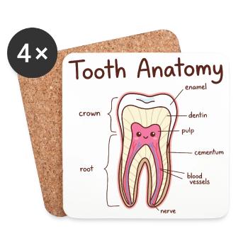 Dentiste assistant dentaire en anatomie dentaire - Dessous de verre (lot de 4) - blanc - Devant