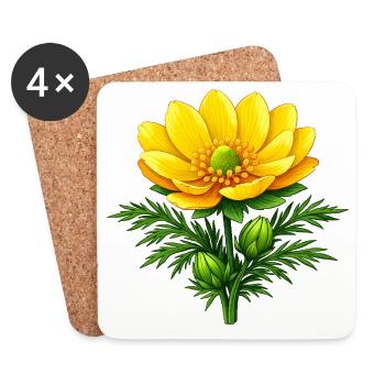 Adonis Beauty Yellow Wildflower Nature Floral Design - Coasters (set of 4) - white - Front