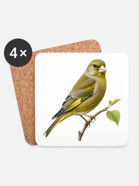Illustrations-Naturführer-Kupferstich Greenfinch - Untersetzer (4er-Set) - Weiß