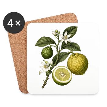 Citrus Botanique Vintage - Citrus bergamia - Dessous de verre (lot de 4) - blanc - Devant