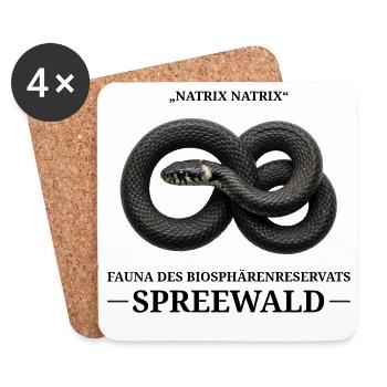 Spreewald Ringelnatter – Vintage Biologie Stil - Untersetzer (4er-Set) - Weiß - Vorne
