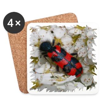 Beewolf aime manger les larves d’abeille - Dessous de verre (lot de 4) - blanc - Devant