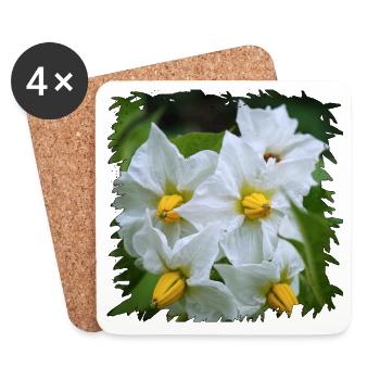 Weiße Kartoffel Blüten mit gelben Staubgefäßen - Untersetzer (4er-Set) - Weiß - Vorne