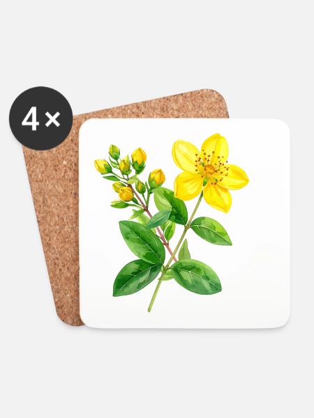 Johanniskraut – botanisches Aquarell - Untersetzer (4er-Set) - Weiß