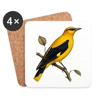 Oriolus oriolus - Eurasian Golden Oriole Vintage - Coasters (set of 4) - white - Front