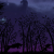 ico85