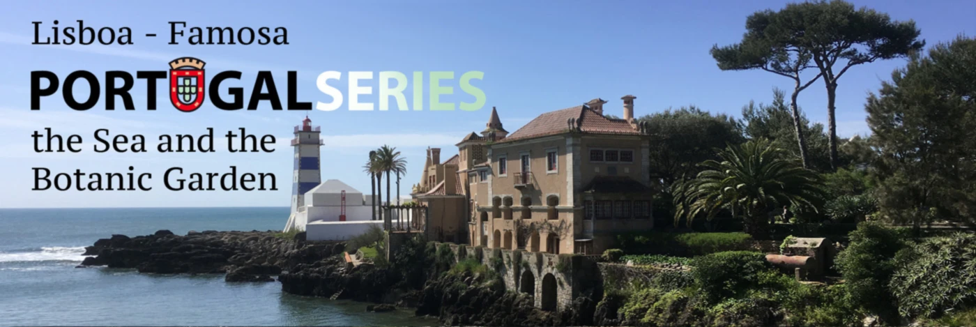 Bannerbild von francislukas