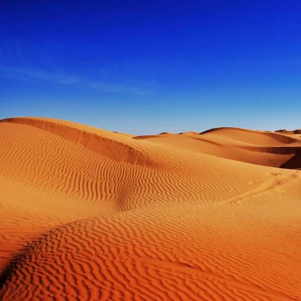 Banner image of youShirt