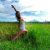 Yogalicity