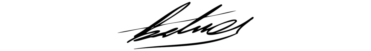 Bannerbild von FABIG