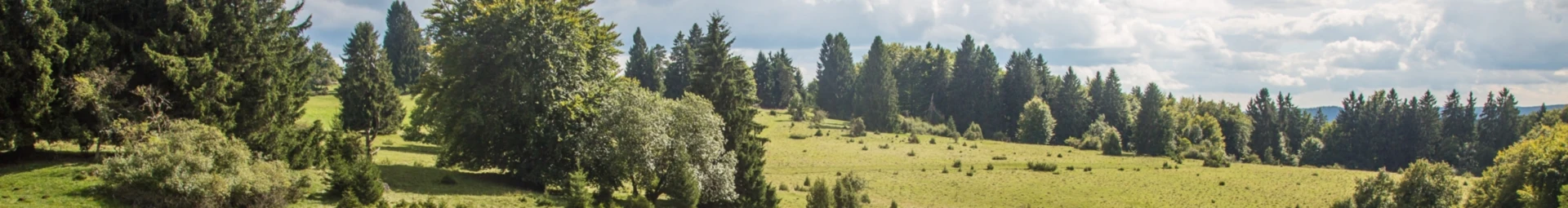 Bannerbild von Schwobatastisch