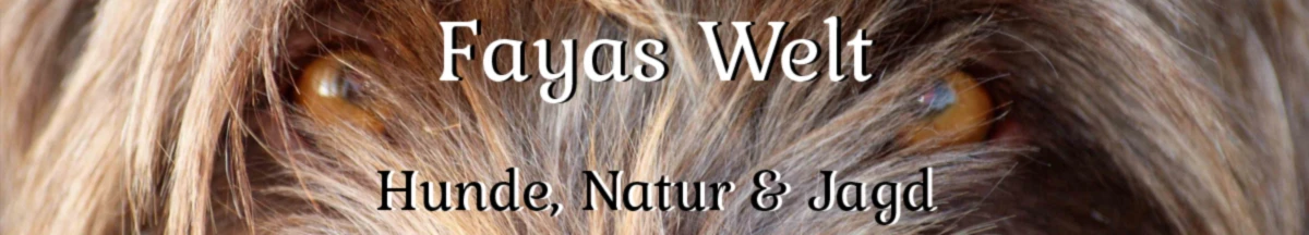 Banner image of Fayas-Welt