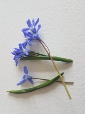 Banner image of Santi Numi Productions