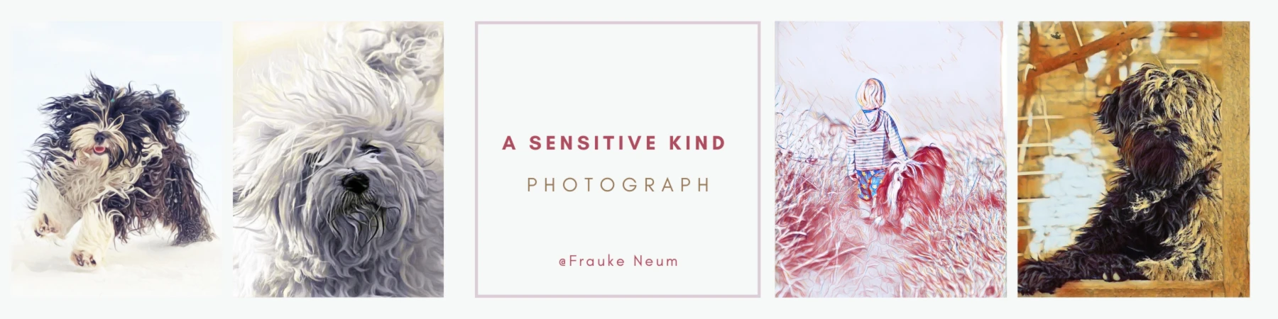Banner image of A Sensitive Kind