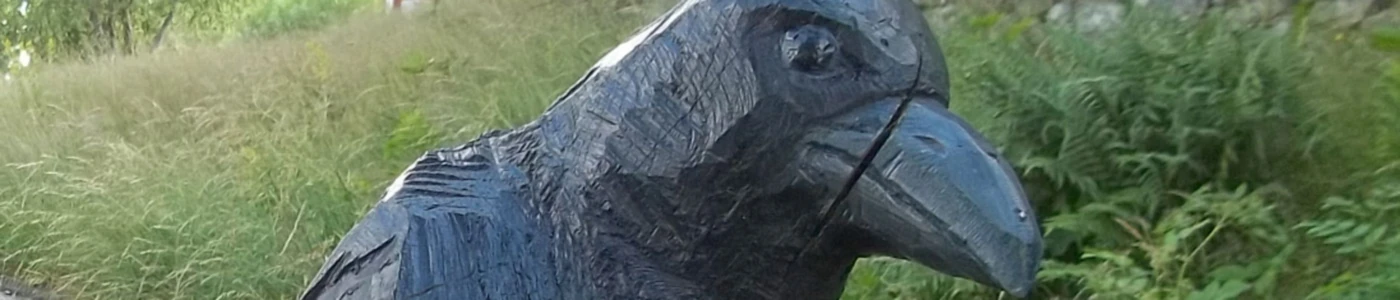 Banner image of Senlin