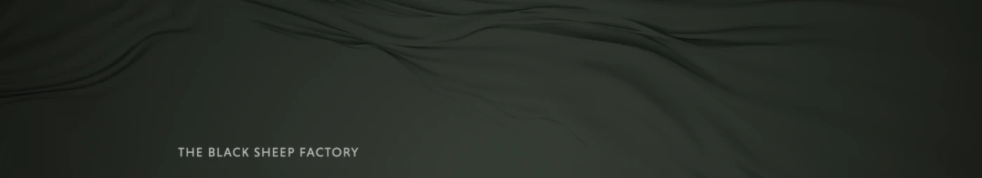 Banner image of TheBSF