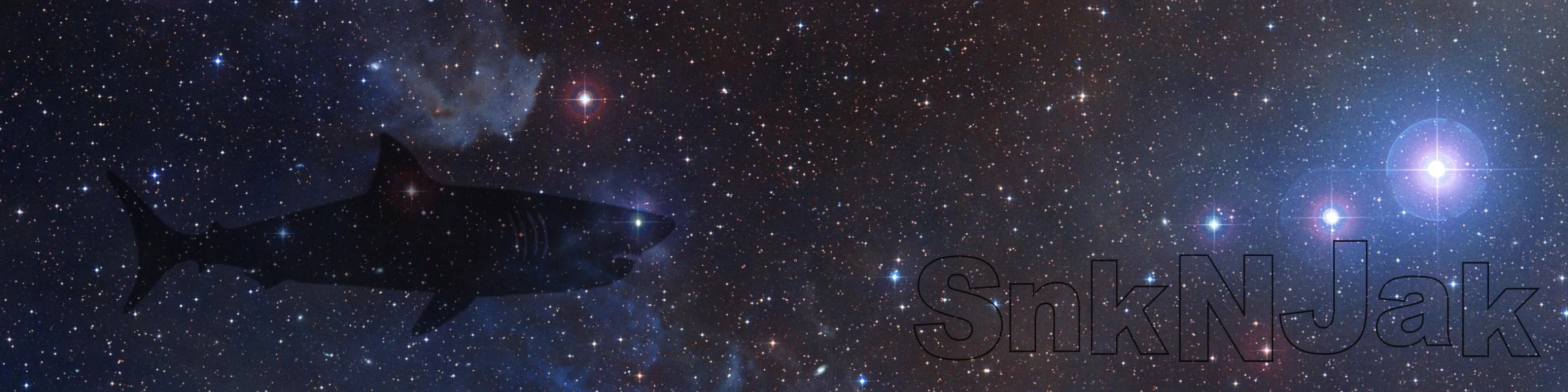 Banner image of snknjak