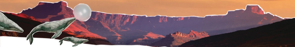 Banner image of Creative Mojo