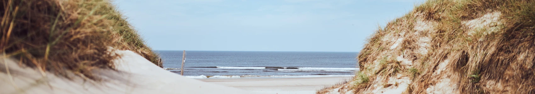 Banner image of Ideenplantage