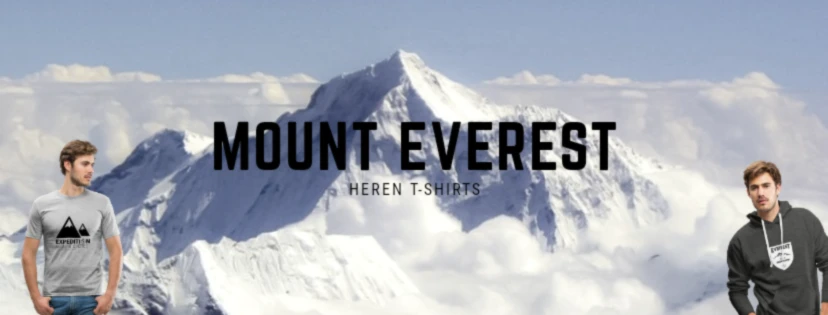 Bannière de studiopico