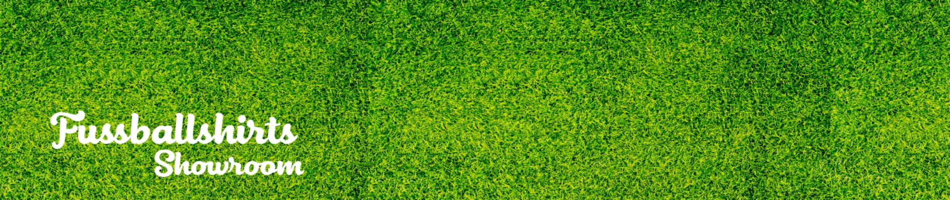 Banner image of eufussballshirts