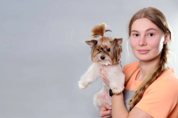 Bannerbild von Jeany31