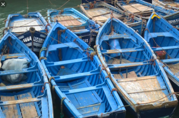 Banner image of baerbel1326