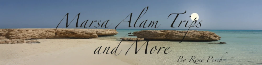 Banner image of HPRP