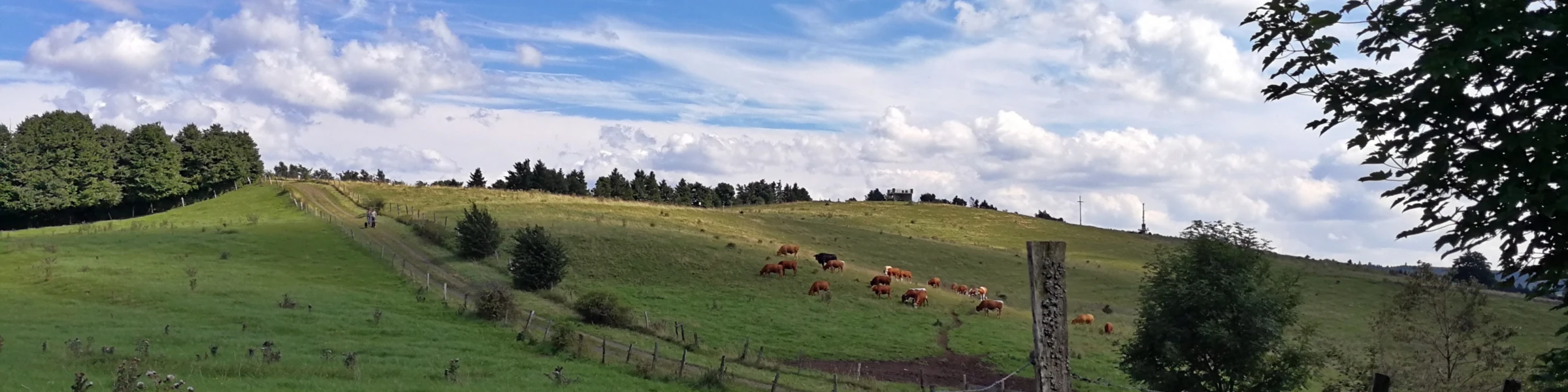 Banner image of Rhoenshirts