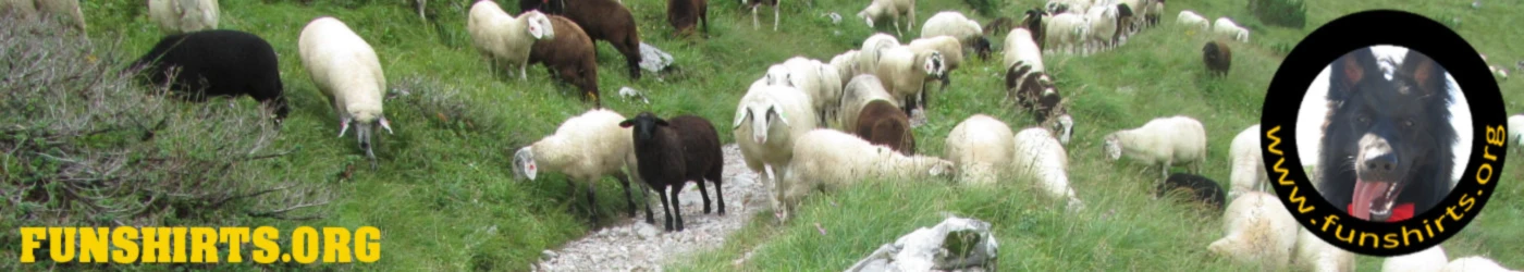 Banner image of arte73