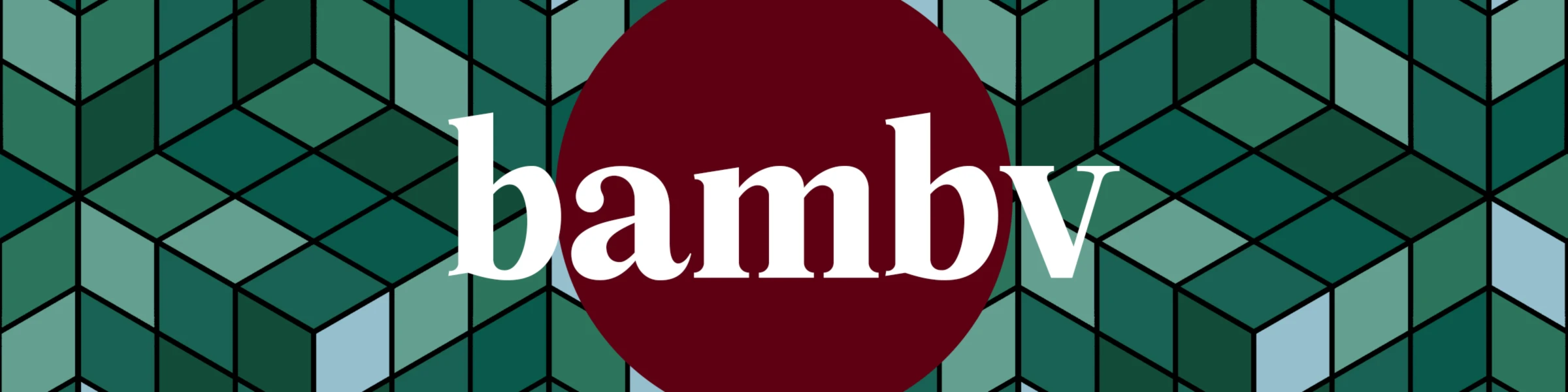 Banner image of BAMBV