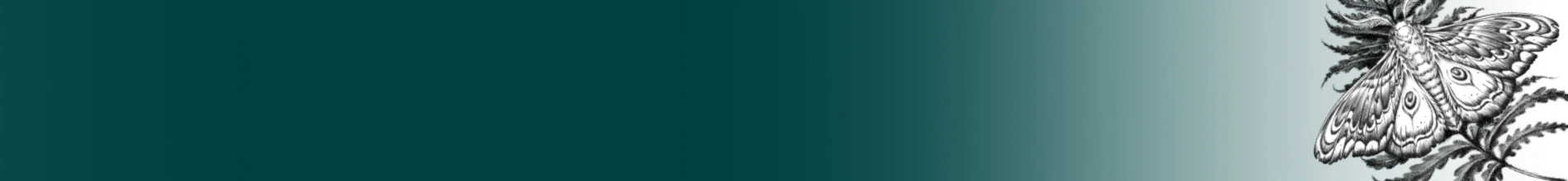 Banner image of A.S.Design