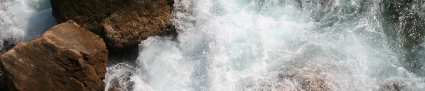 Bannerbild von meerfreude