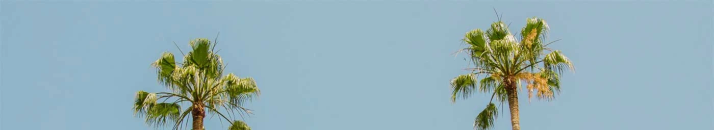 Banner image of zee-es