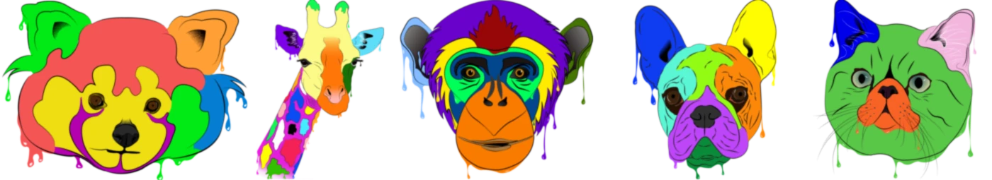 Bannière de Fabrizio Rossin