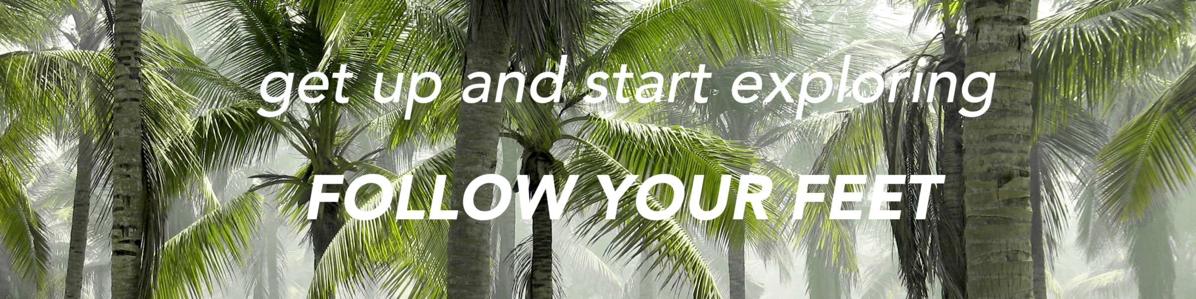 Banner image of FollowYourFeet