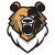 bearx
