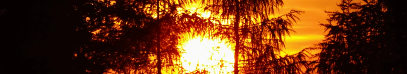 Bannière de Michael Sonntag