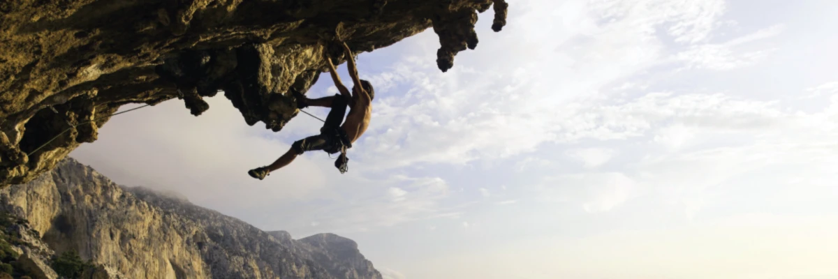 Banner image of Debby