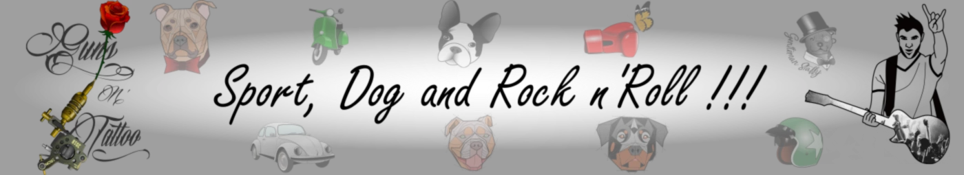 Bannerbild von Nyf A.