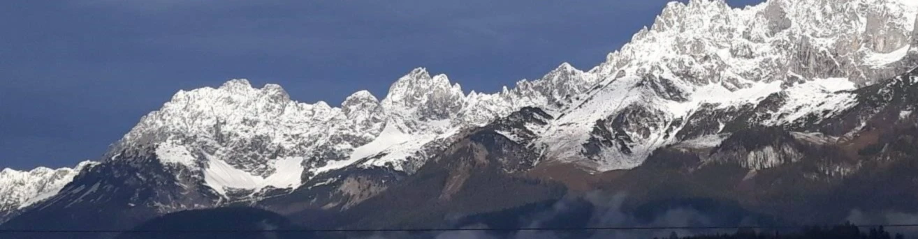 Banner image of Brigitte Thaler