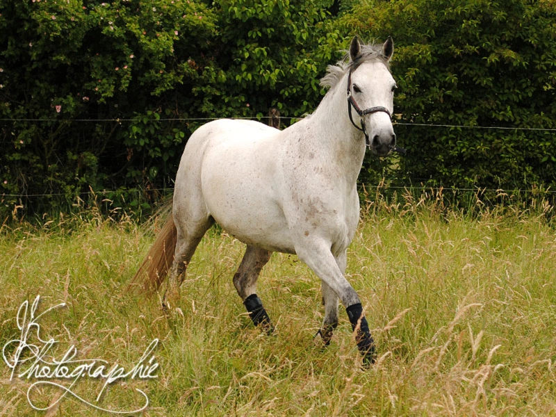 Bannerbild von Vectorqueen