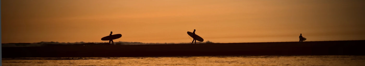 Banner image of kaloo.design